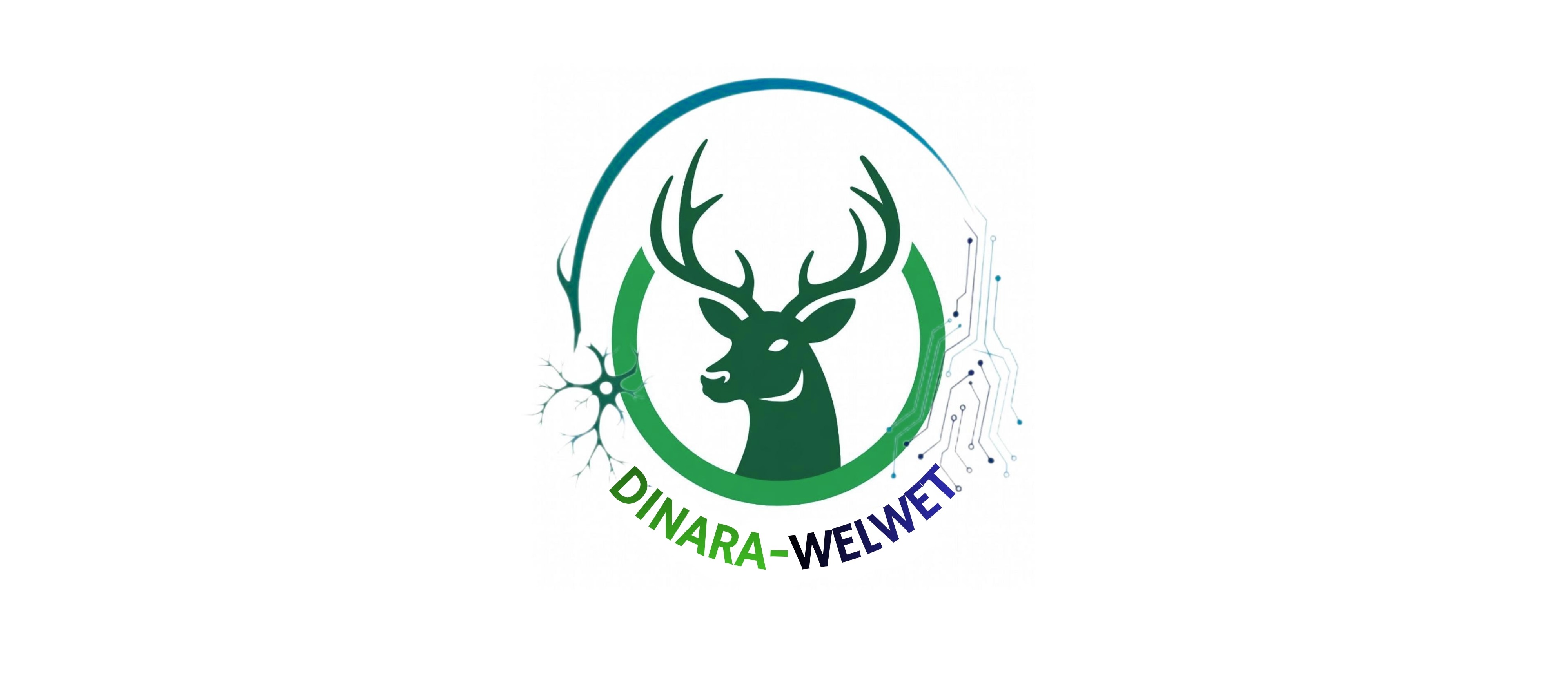 DINARA-WELWET
